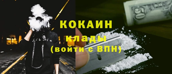 хмурый Инта