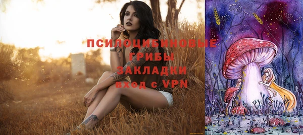 MDMA Инсар