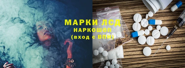 хмурый Инта