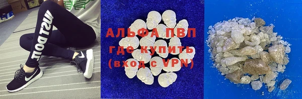 хмурый Инта