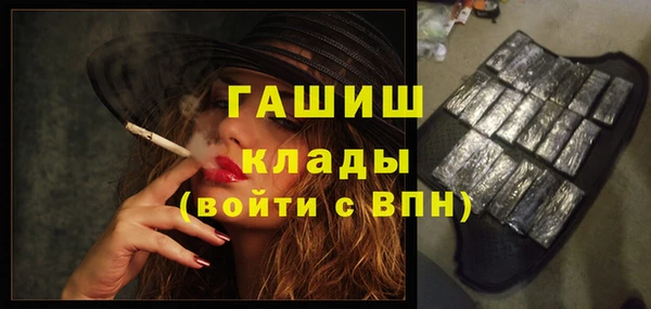 хмурый Инта